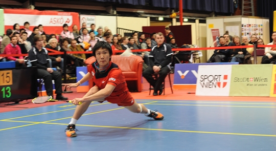 Austrian International Challenge 2013